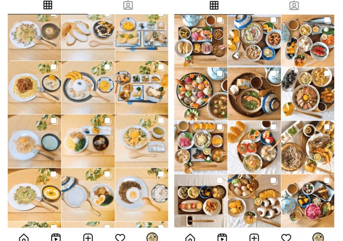 左が半年前の写真、右が最近作った「手作りごはん」
