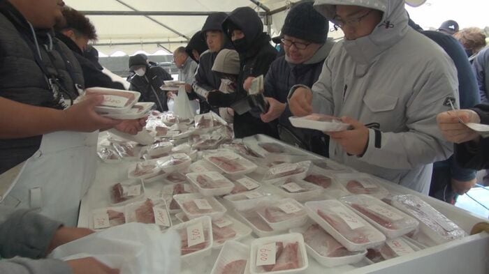 佐渡の『寒ブリ大漁まつり』 寒ブリは他県から仕入れ