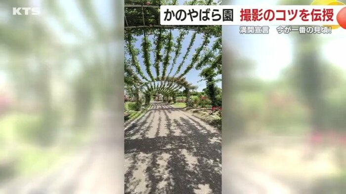 立体的に撮影できる「パノラマモード」