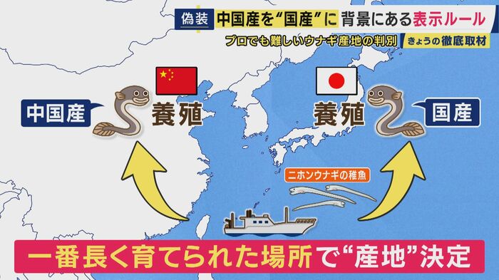 養殖ウナギの産地表記のルール