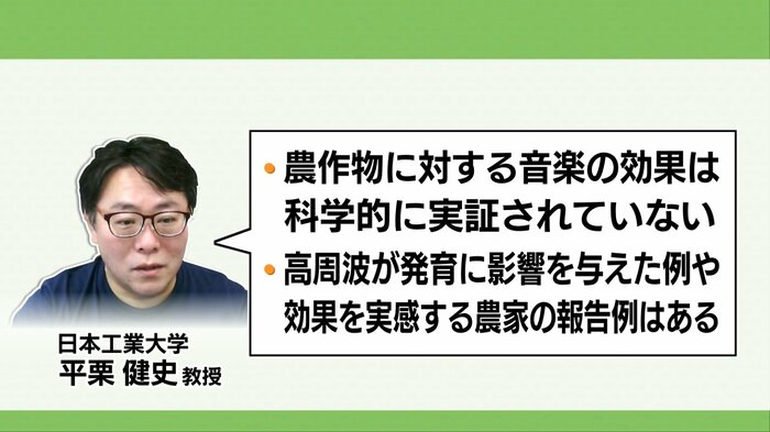 音響栽培について日本工業大学の平栗健史教授の見解