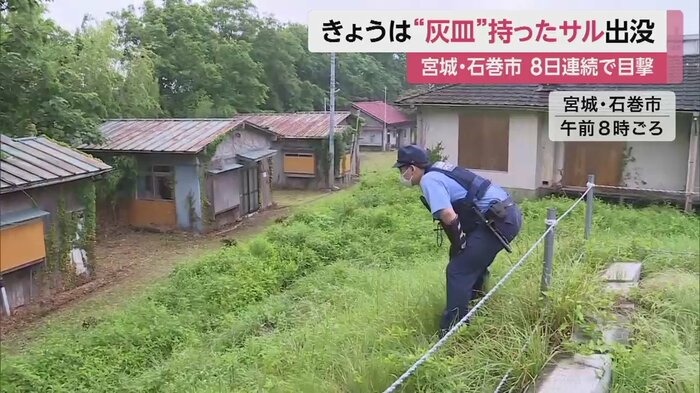 警察官が、何かをじっと見つめている。その先には…