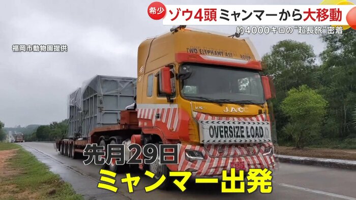 ミャンマーを出発するゾウの檻(福岡市動物園提供)