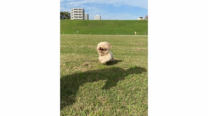 ポテチくん