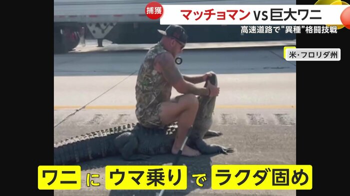 素早くプロレス技をかけてワニを捕らえたマッチョマン(Jacksonville Sheriff's Office)