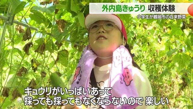ほかに、「キュウリの顔がギザギザでおもしろい」と話してくれた子もいた