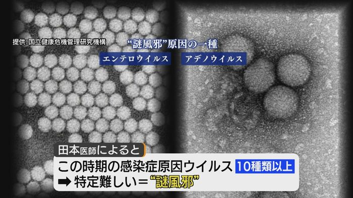 「謎風邪」は10種類以上のウイルスが原因