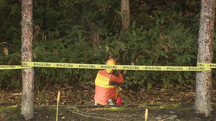 緊急銃猟によりクマ2頭が駆除