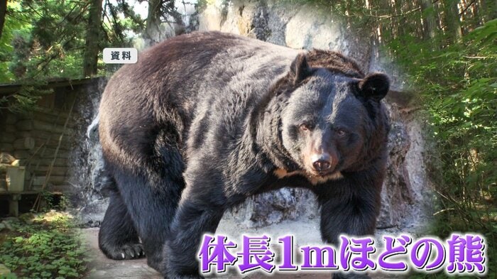資料写真