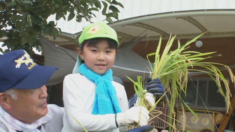 園児が稲刈りを体験　長野・安曇野市｜FNNプライムオンライン