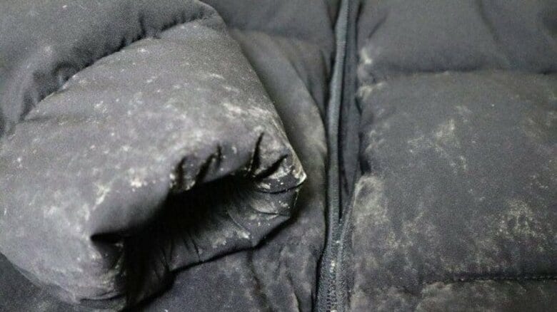 ダウンの黒カビは自分で取らないで！“洗濯ハカセ”が教える家庭でも落とせる白カビとカビ臭の正しい取り除き方｜FNNプライムオンライン
