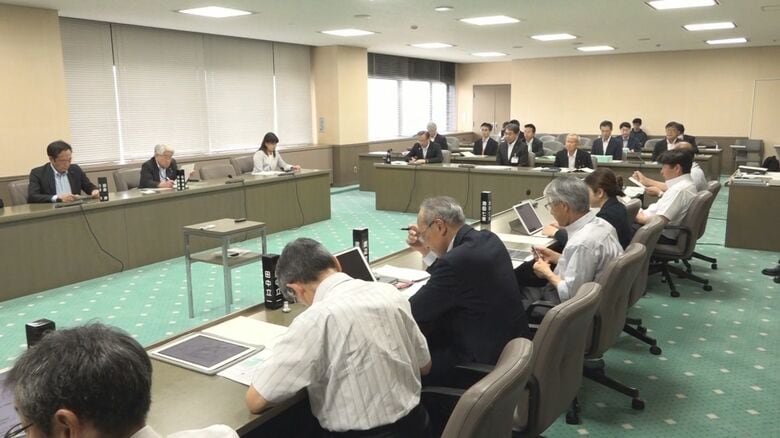 前市長の“子育て支援施設計画”見直しへ「働く世代・高齢者も有効活用できる施設に」新潟・糸魚川市｜FNNプライムオンライン