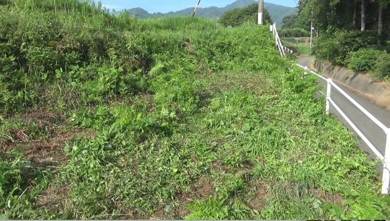 現場にはジャッキが...　73歳の男性が農道の脇で無人の軽トラにひかれ死亡　動き出した車にひかれた可能性も　｜FNNプライムオンライン