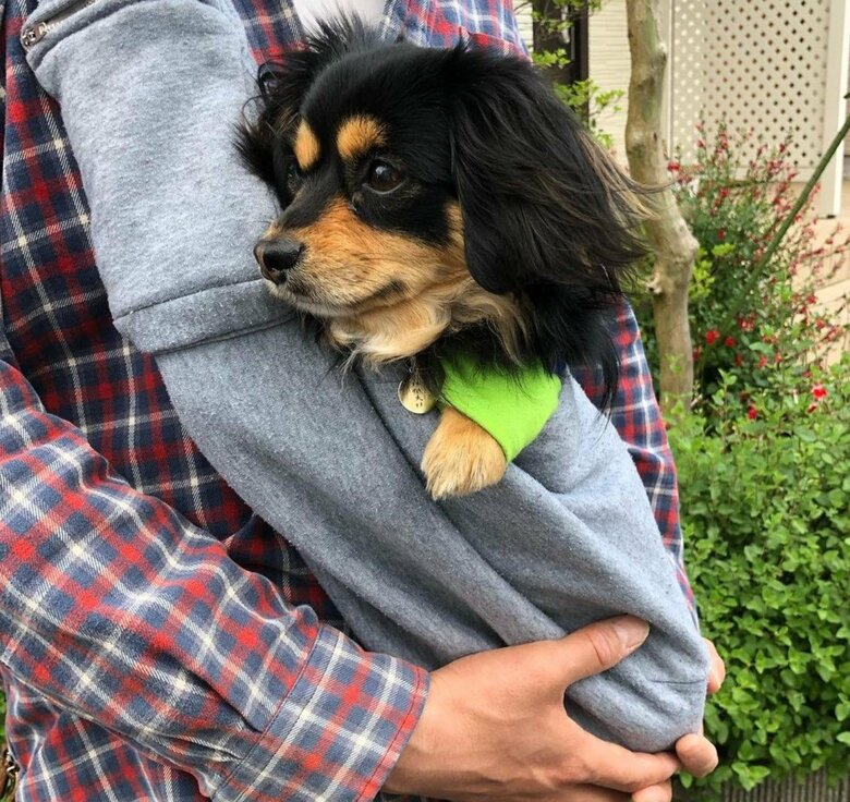 抱っこされるときもある