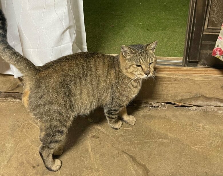 侵入後、帰ろうとしている様子