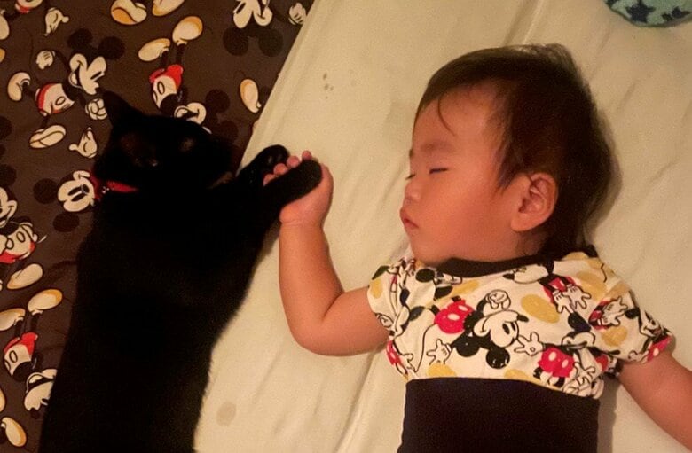 提供：ゴンゾウR4さん