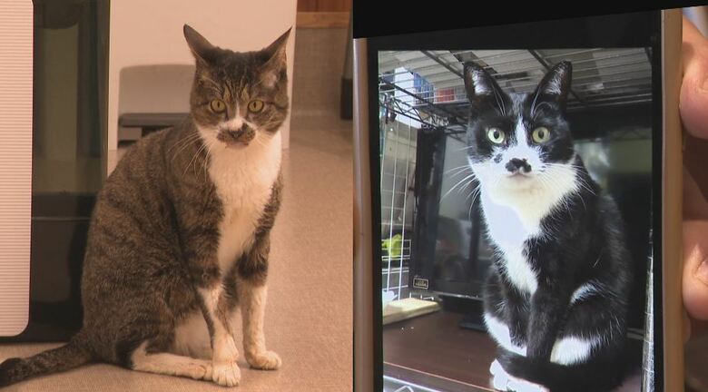 おチビ（右）にそっくりな「マツ」