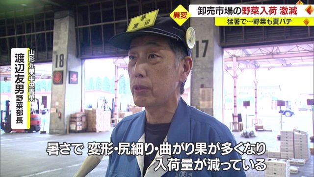 山形丸果中央青果 渡辺友男野菜部長
