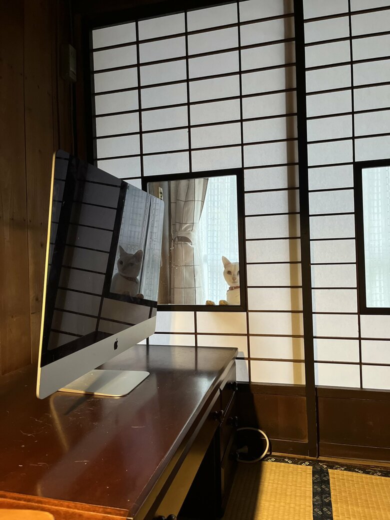 提供：いのうえもんぺさん