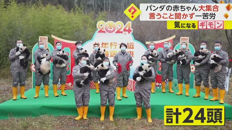 パンダを抱きかかえ、カメラの向こうにメッセージを送った職員たち