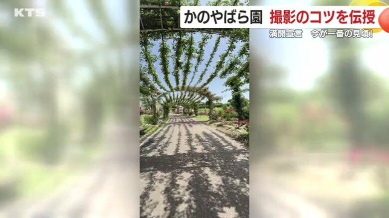 立体的に撮影できる「パノラマモード」