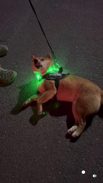 提供：カンさん