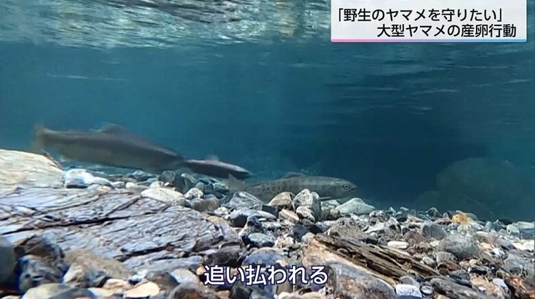 ※専門家の指導のもと撮影