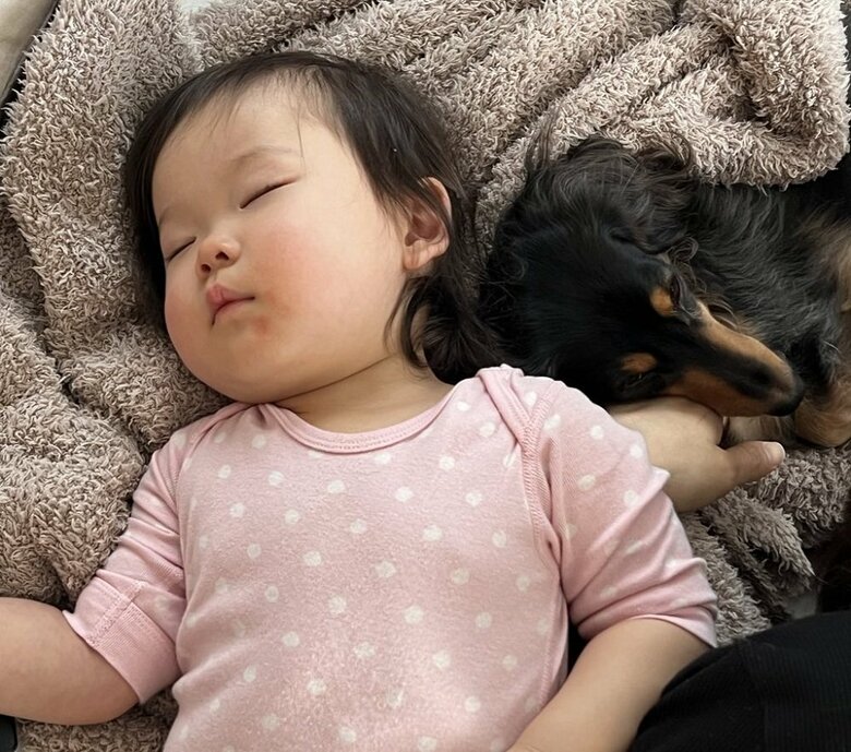 飼い主さんの腕の上で一緒にぐっすり