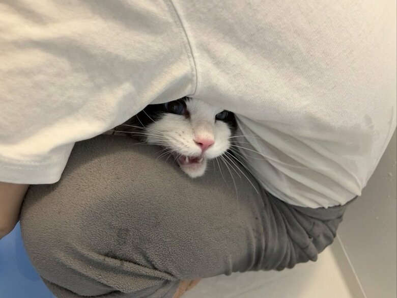 お風呂中のとろろくん