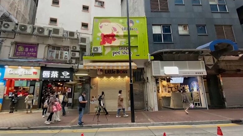 ハムスターからヒトへの感染疑いが判明したペットショップ（香港）