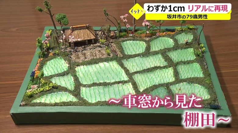初めての作品～車窓から見た棚田～