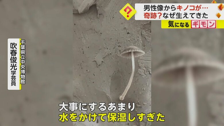 （ピエロ大好き人間さん）