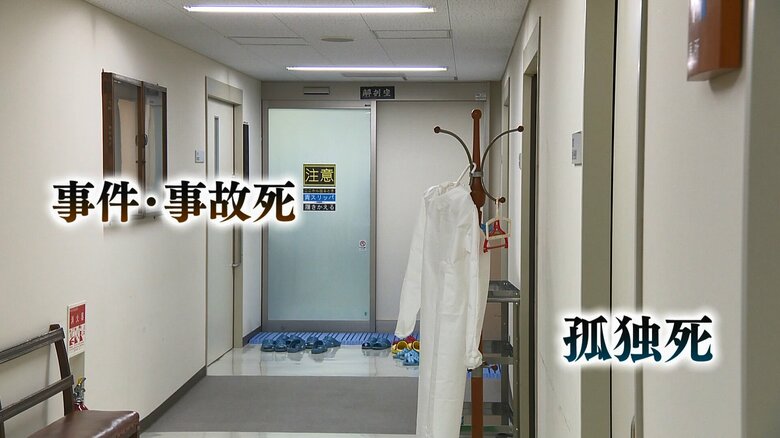 死因究明教育センター