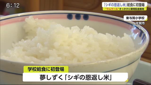 「シギの恩返し米」学校給食に初登場【佐賀県】