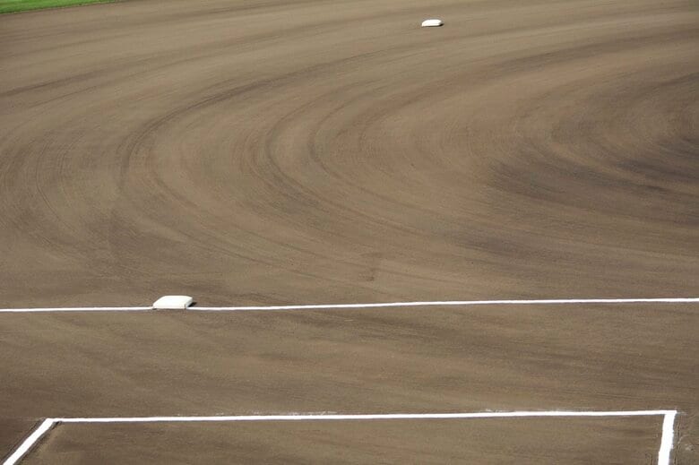 長嶋と広岡の2人は黄金三遊間コンビとなった