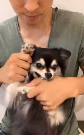 「かわぴぃ～」？