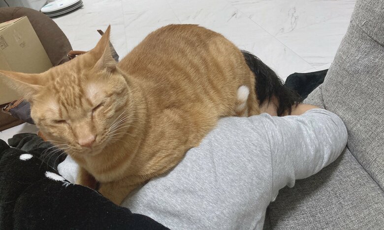 提供：たぬき&とらさん