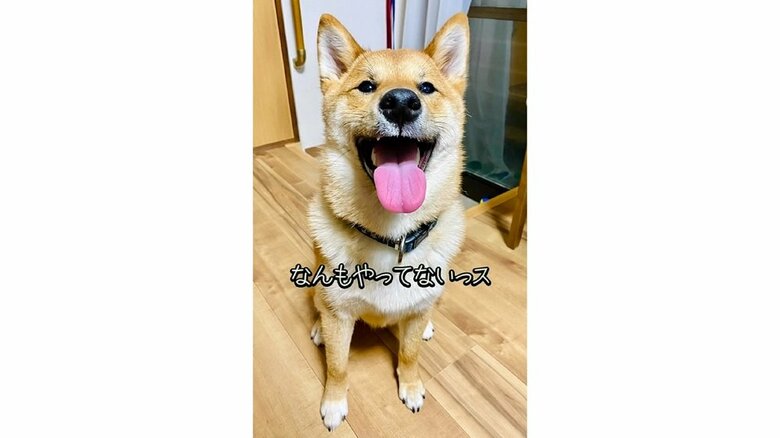 笑顔のゆうまくん