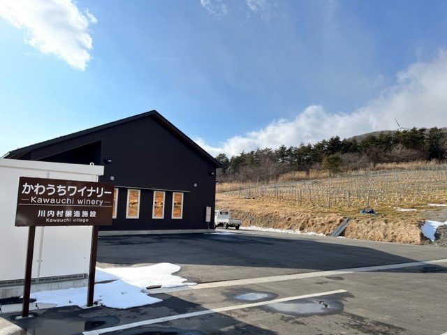 日照、風、霜などの条件からワイン栽培に最適地だと決めた