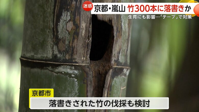 落書きされた竹の伐採も検討しているという京都市