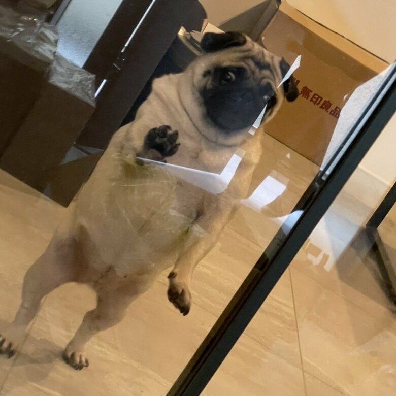 人間のような見送り方が話題となった