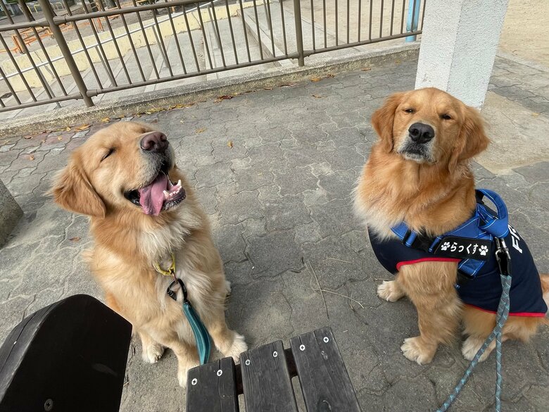 これからも仲良しでいてほしい