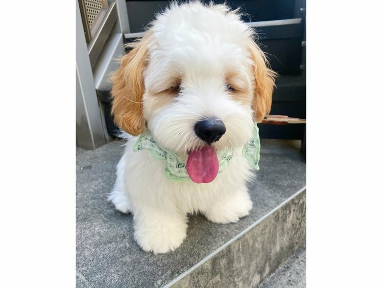 2021年撮影の「暑い無理」な表情（提供：宮原幸恵さん）