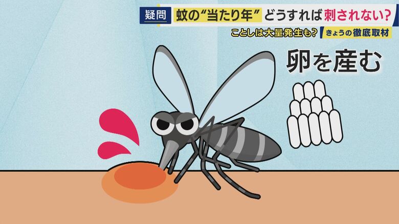 血を吸うのはメスだけ