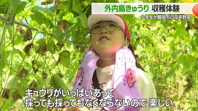 ほかに、「キュウリの顔がギザギザでおもしろい」と話してくれた子もいた