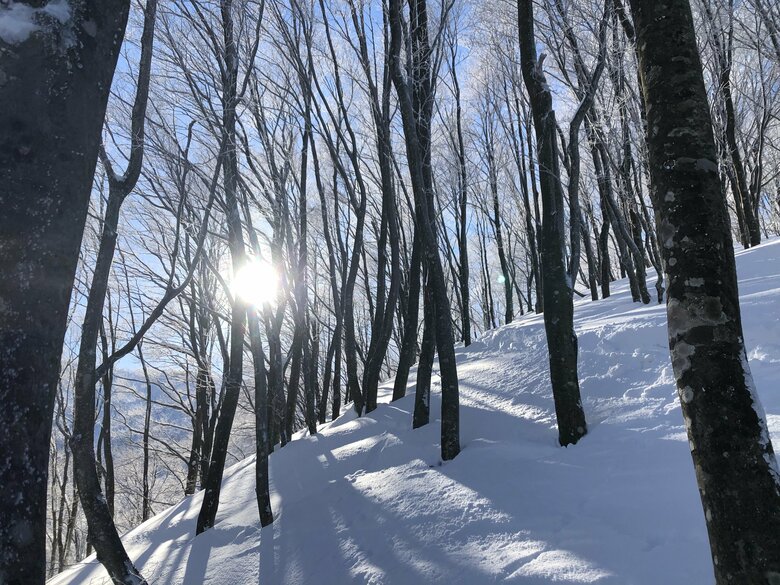 晴天時の銀杏峰