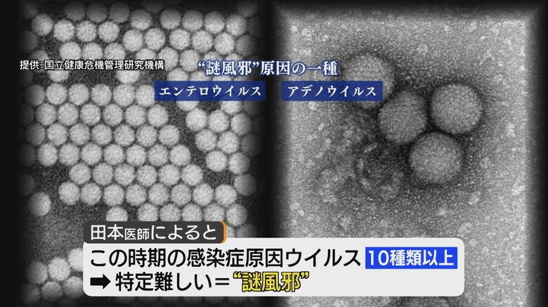 「謎風邪」は10種類以上のウイルスが原因