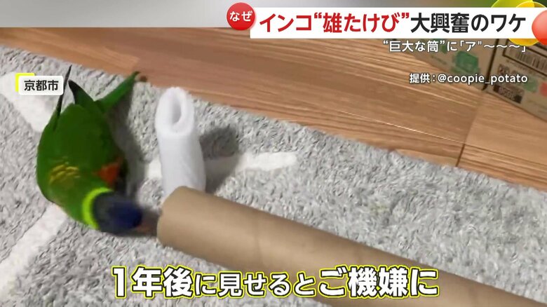 今はお気に入りとなった筒