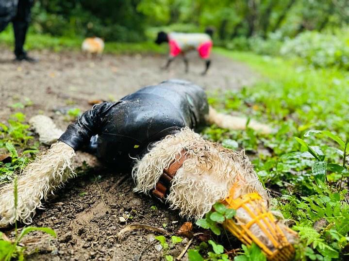 夏の泥遊び（提供：hair.axis）