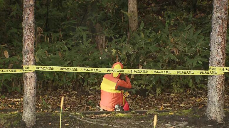 緊急銃猟によりクマ2頭が駆除